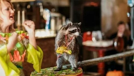 Цирк «Бруно», Корсаков